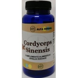 Cordyceps Sinensis Alfa Herbal