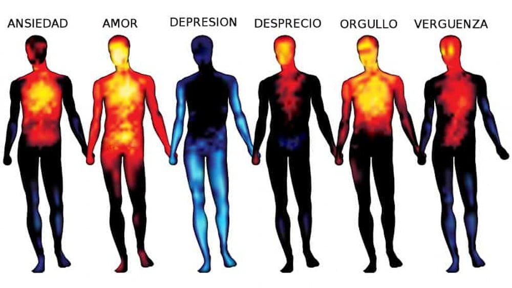 Relación entre las emociones y la enfermedad