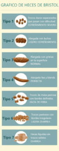 Heces Raton Es Que dicen tus Heces sobre tu salud