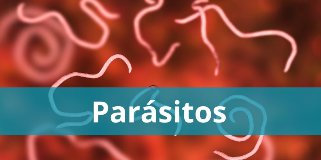 Parásitos - Naturopata Online