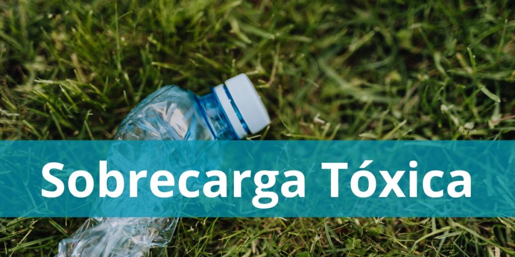 Sobrecarga Tóxica - Naturopata Online